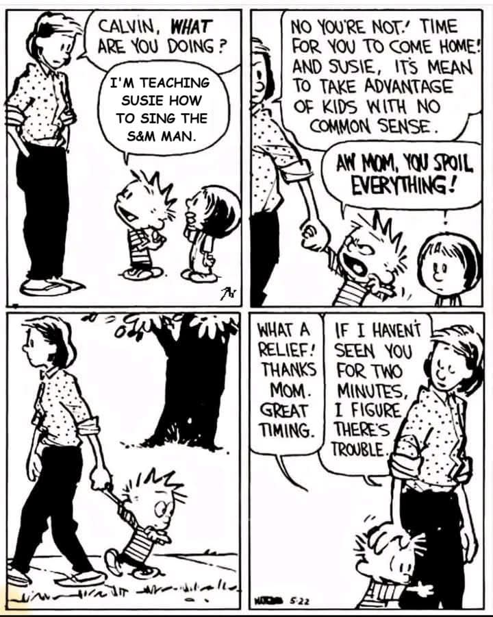 Calvin & Hobbes edit by Hazukashii